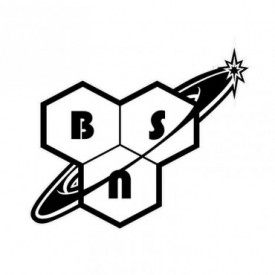 Beta Alanine 75 Serv BSN